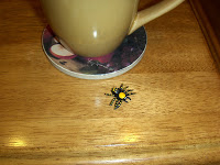 fake spider next to mug