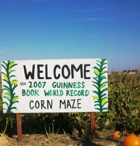 world record corn maze