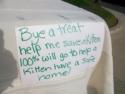 bake sale for kitten funds