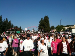 Sacramento's Race for the Cure