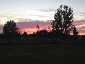 The sunset in our backyard. It doesn't get dark until about 10:15 here, which is an adjustment for us, but the sunsets are gorgeous!