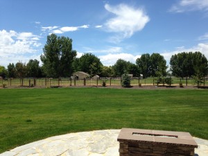 One of my favorite things about our house is the view. It's really peaceful and there are llamas and horses in the pasture behind us. 